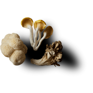 Wood-Fired Pizza Mushroom Mix | Fresh Gourmet Mushrooms (2 lb