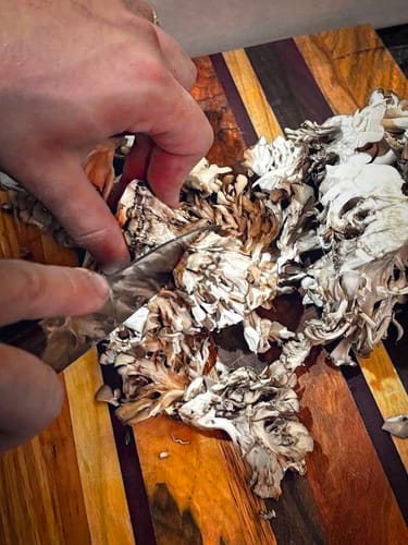 Customer Spotlight: How Akron Ohio Moms Preps Our Fresh Maitake Mushrooms